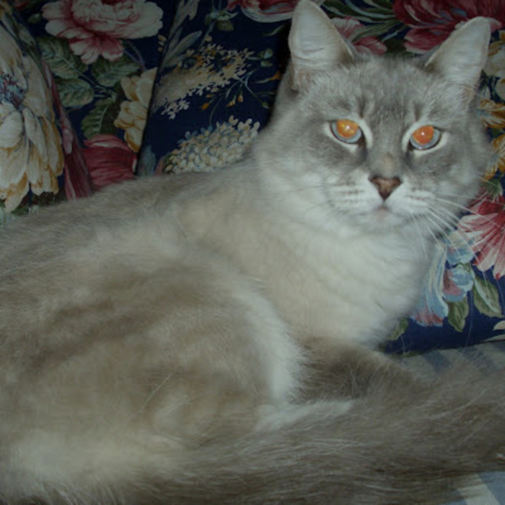 Meet your Posher, Maren